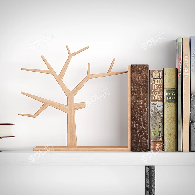 Corona 3.2 Book Decor Set 3D model image 3