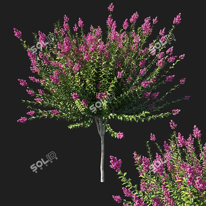 Exquisite Myrtle Tree Sculpture 3D model image 1