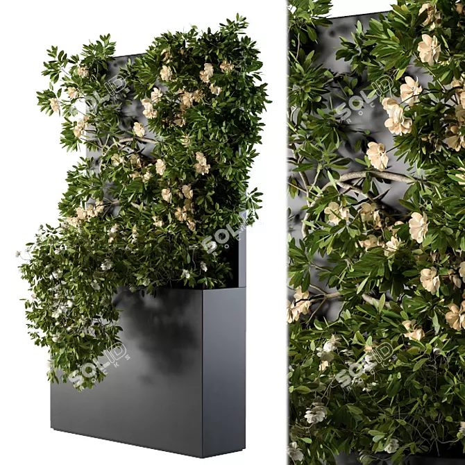 Ivy Greenery Box: Beauty in Bloom 3D model image 1