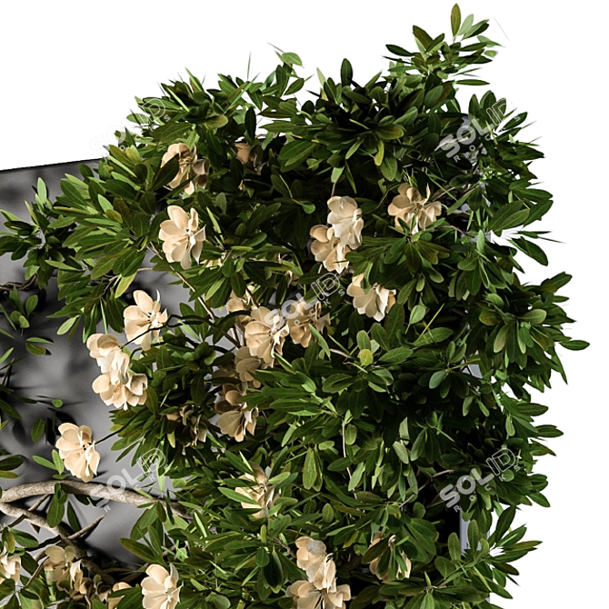 Ivy Greenery Box: Beauty in Bloom 3D model image 3
