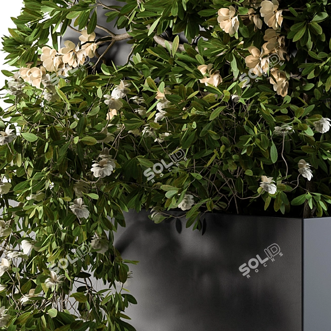 Ivy Greenery Box: Beauty in Bloom 3D model image 4