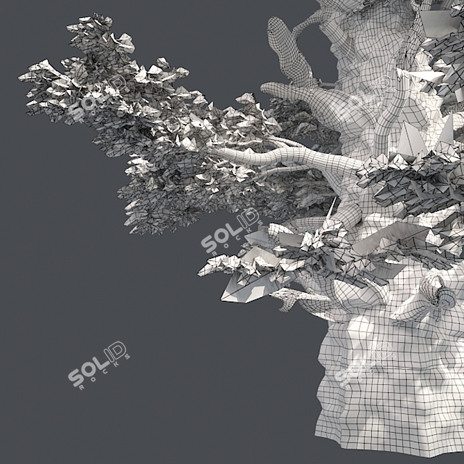 Optimized Western Juniper Tree 3D model image 5