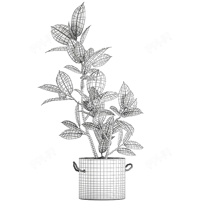 Concrete Pot Exotic Ficus 3D model image 5