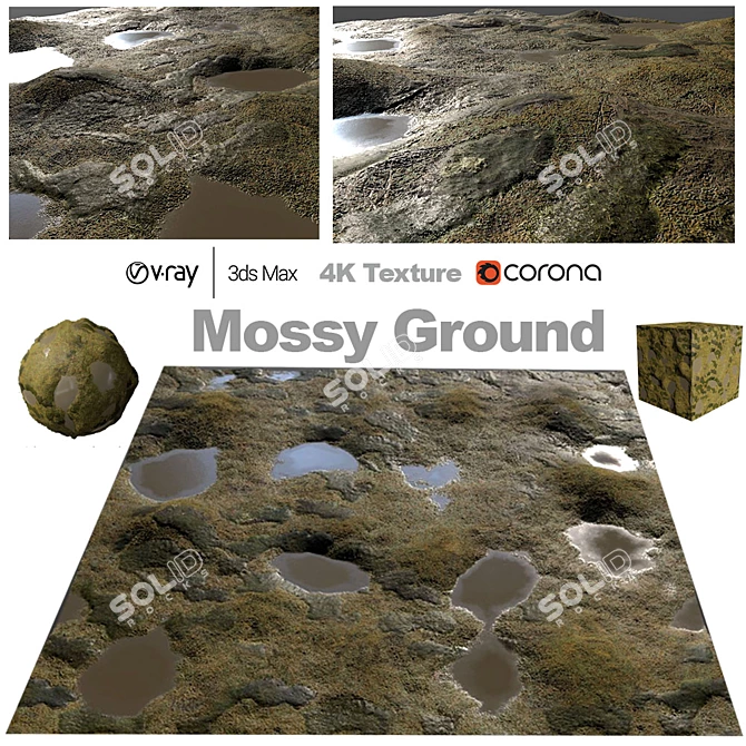 Lush Mossy Forest Floor 3D model image 1