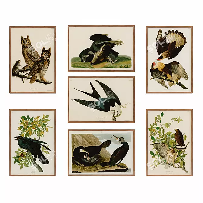 Audubon's Bird Posters #02  3D model image 1