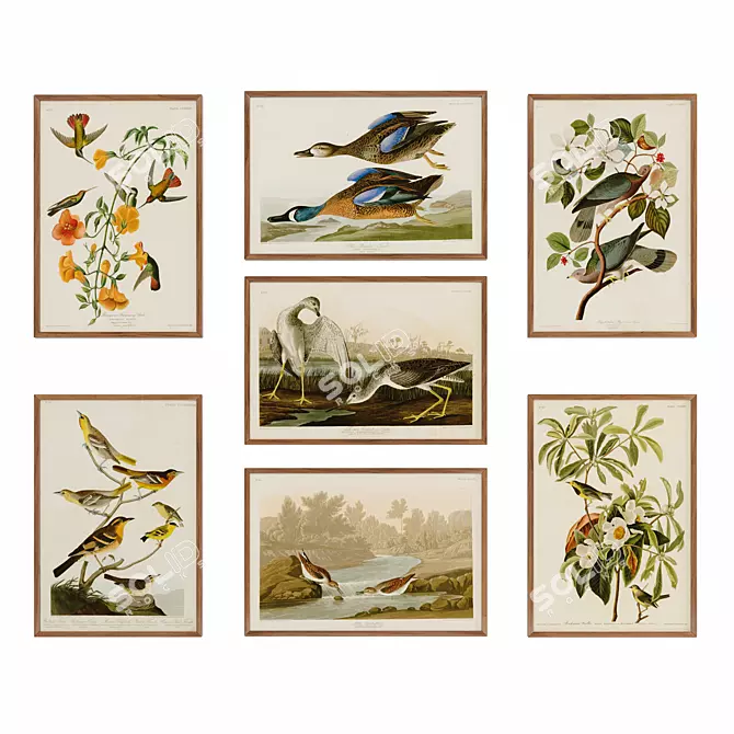  Audubon's Birds of America Posters 3D model image 1