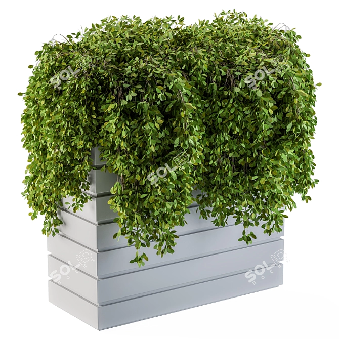 Lush Greenery Delivered to Your Doorstep 3D model image 1