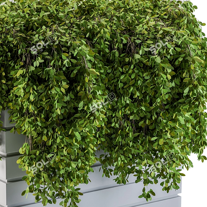 Lush Greenery Delivered to Your Doorstep 3D model image 2