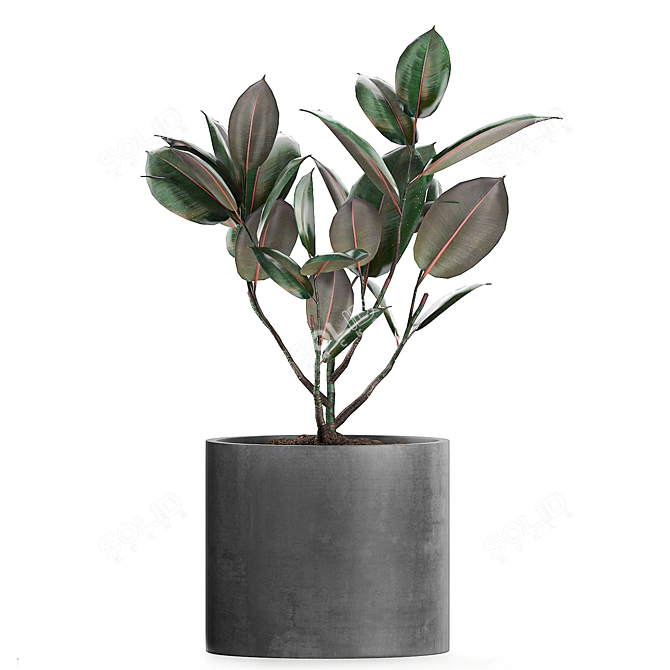 Concrete Pot Plant Collection 3D model image 3