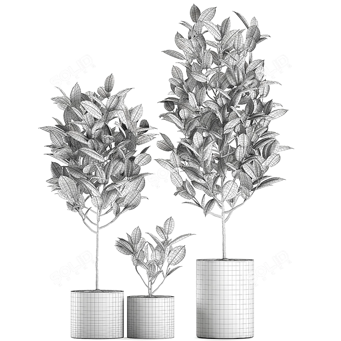 Concrete Pot Plant Collection 3D model image 5