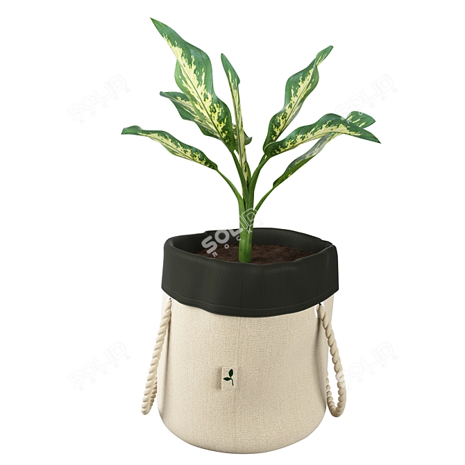 Botanisk Dieffenbachia: Waterproof Plant Bag 3D model image 1