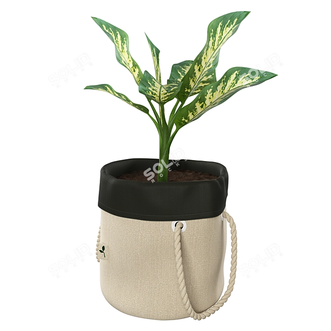 Botanisk Dieffenbachia: Waterproof Plant Bag 3D model image 2