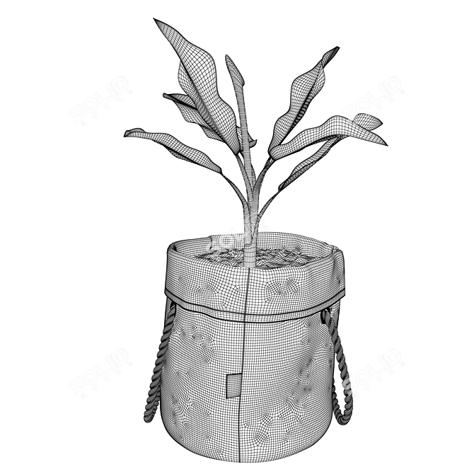 Botanisk Dieffenbachia: Waterproof Plant Bag 3D model image 4