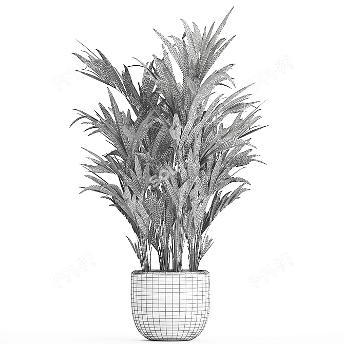 Exotic Palm Collection in White Pot 3D model image 5