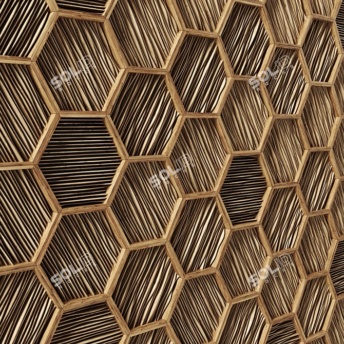 Parametric Polygon Frame 3D model image 3