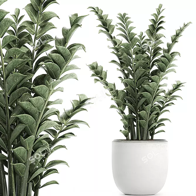 Exotic Tropical Plants in White Pots 3D model image 1