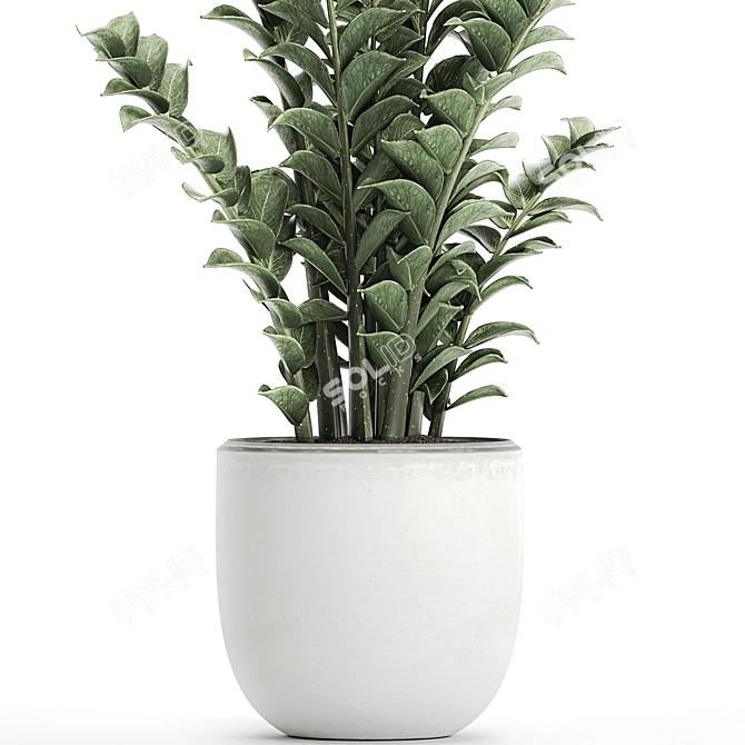 Exotic Tropical Plants in White Pots 3D model image 4