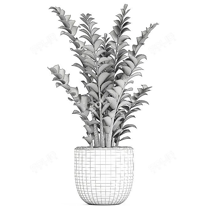 Exotic Tropical Plants in White Pots 3D model image 5