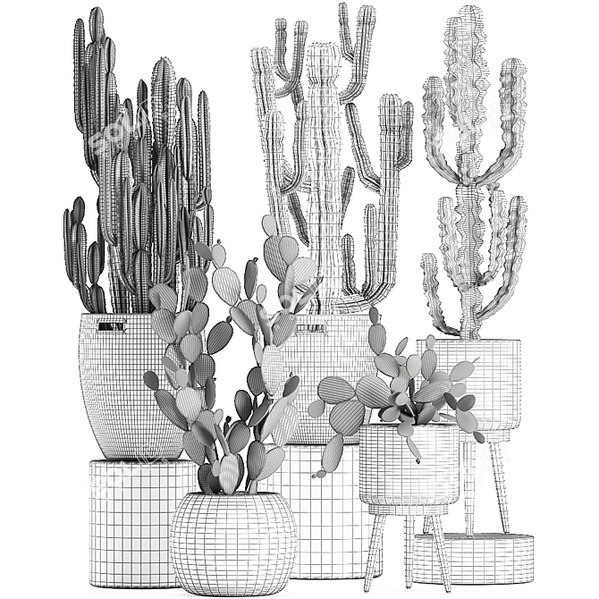 Exotic Cactus Collection in Rattan Baskets 3D model image 5