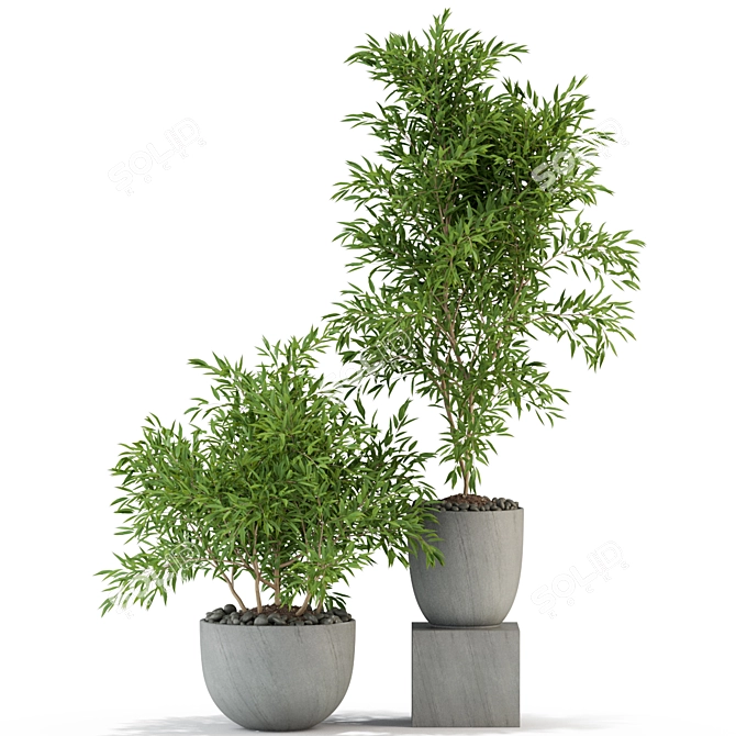 Botanical Beauty: Plants Collection 335 3D model image 3