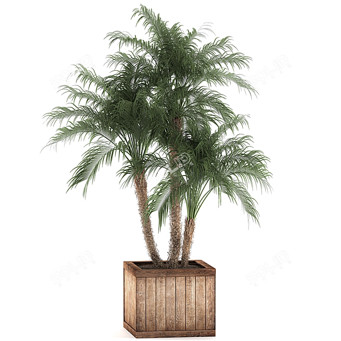 Tropical Plant Collection: Exotic Indoor Palms 3D model image 4