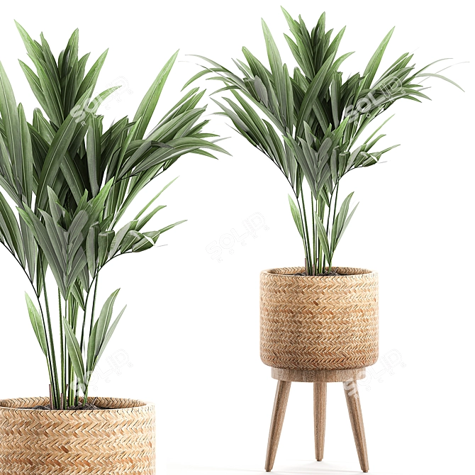 Tropical Palm Collection in Decorative Basket 3D model image 1