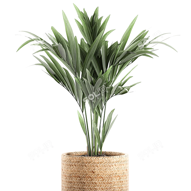 Tropical Palm Collection in Decorative Basket 3D model image 2