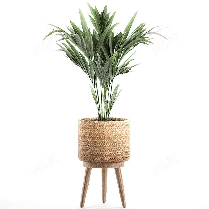 Tropical Palm Collection in Decorative Basket 3D model image 4