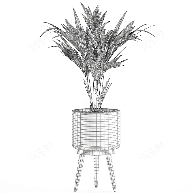 Tropical Palm Collection in Decorative Basket 3D model image 5