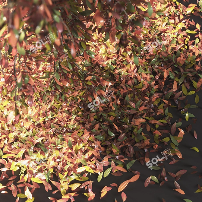 Autumn Tree Sculpture 3D model image 2