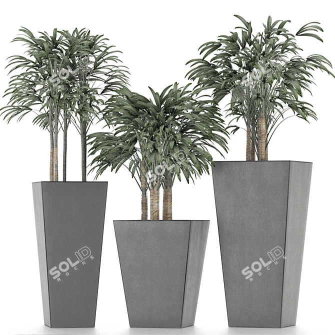 Title: Exotic Palm Trees for Stunning Decor 3D model image 6