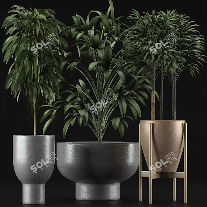 Tropical Palm Trees Collection 3D model image 2