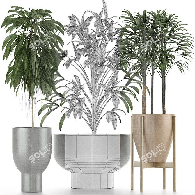 Tropical Palm Trees Collection 3D model image 4