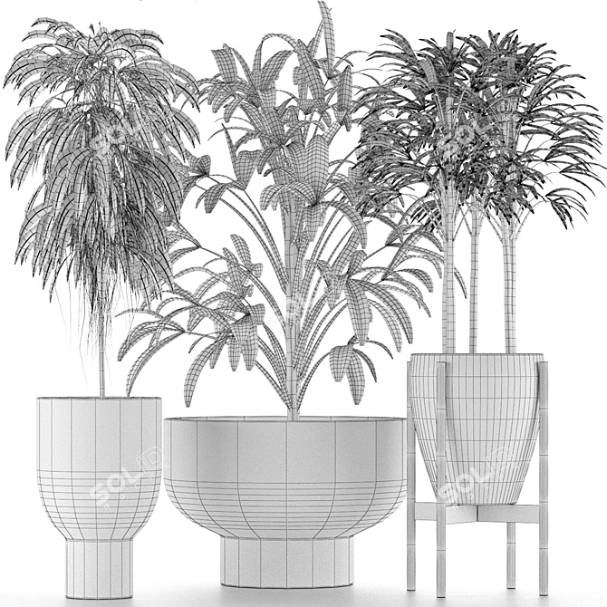 Tropical Palm Trees Collection 3D model image 5