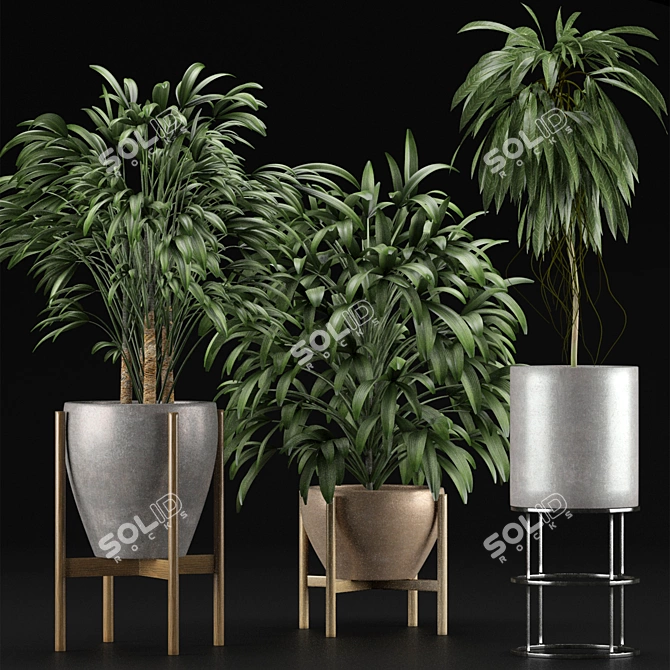 Exotic Plants Collection: Decorative Palm Trees 3D model image 2