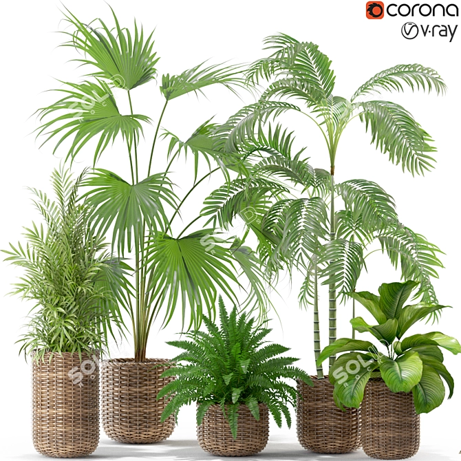 Assorted Botanical Selection: 338 3D model image 1