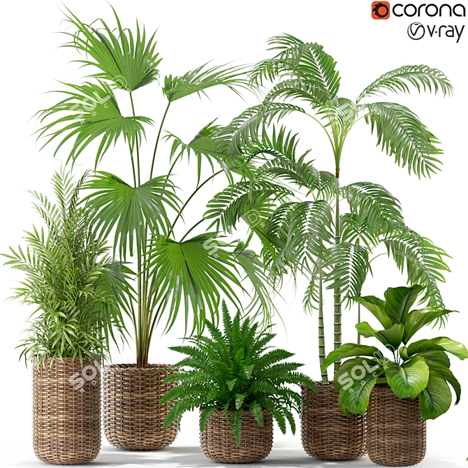 Assorted Botanical Selection: 338 3D model image 2