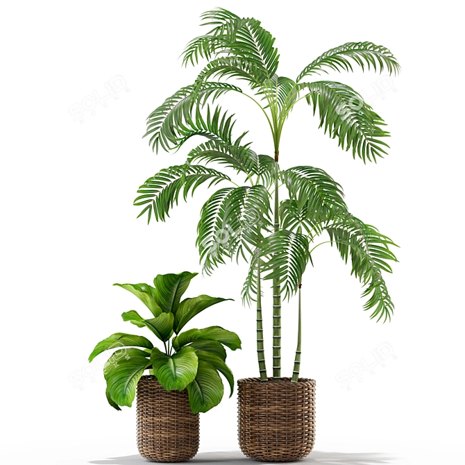 Assorted Botanical Selection: 338 3D model image 4