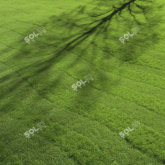 Premium Turf - Lush Lawn Grass 3D model image 2