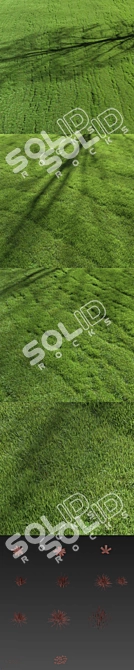 Premium Turf - Lush Lawn Grass 3D model image 4