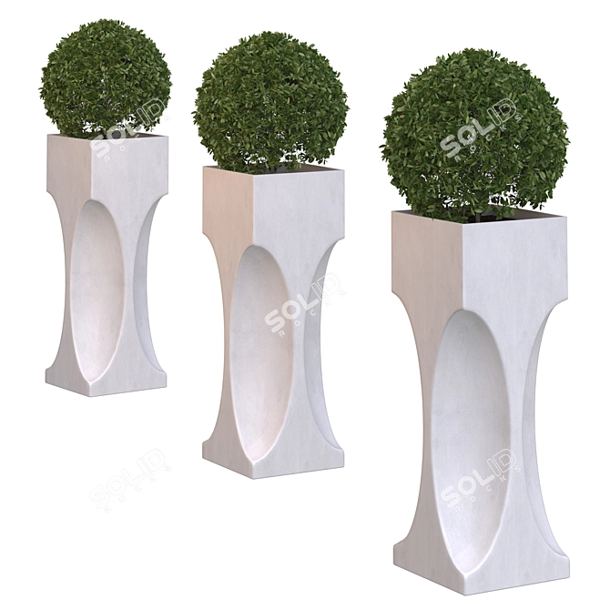 Evergreen Outdoor Plant 3D model image 1