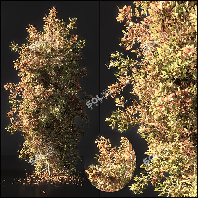 Autumn Tree Sculpture 2015 3D model image 1