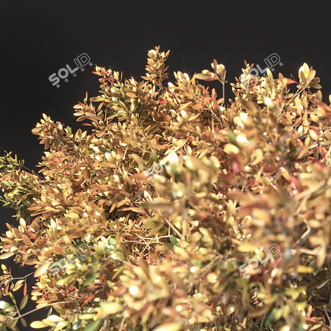 Autumn Tree Sculpture 2015 3D model image 2