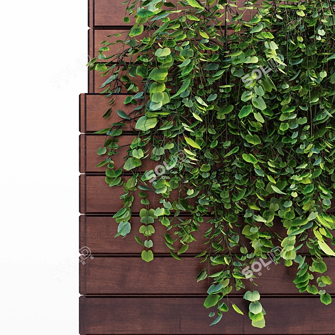 Jumbo Outdoor Plant: 1m x 1.5m x 2m 3D model image 5