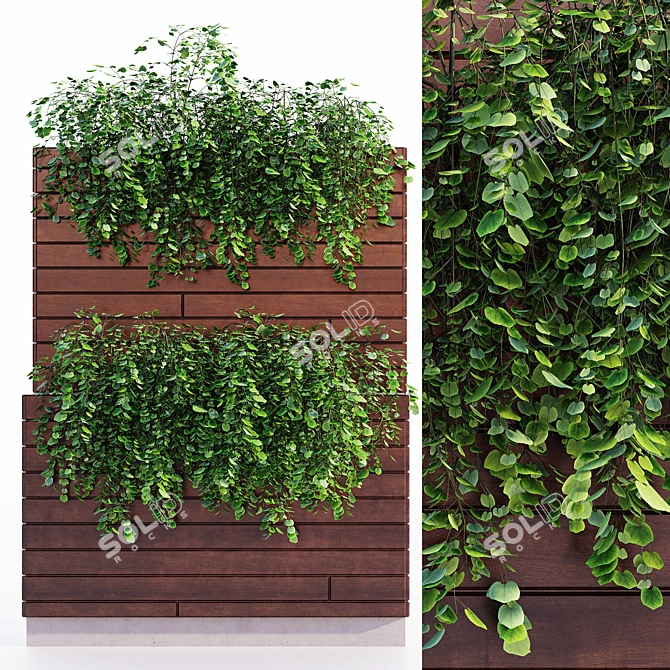 Spectacular Outdoor Plant - 1m x 1.5m x 2m 3D model image 1