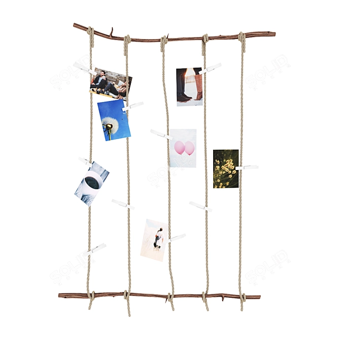 Branches & Clips Photo Frame 3D model image 1