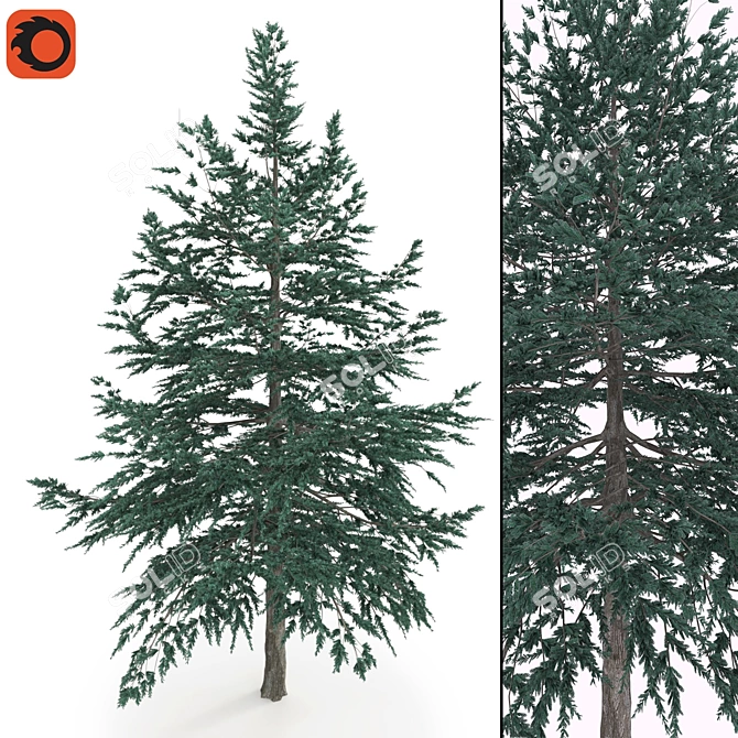  High Poly Conifer Tree: Corona Render, 3Ds Max, FBX 3D model image 2