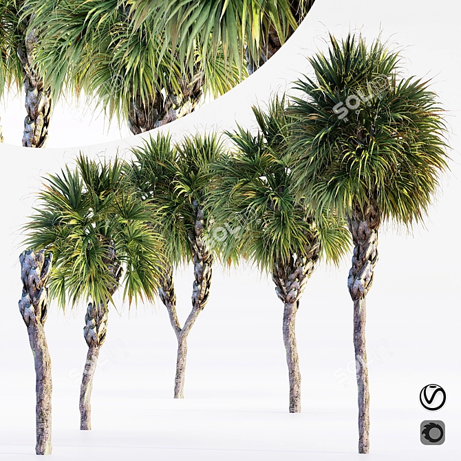 Tropical Paradise Palms 3D model image 1