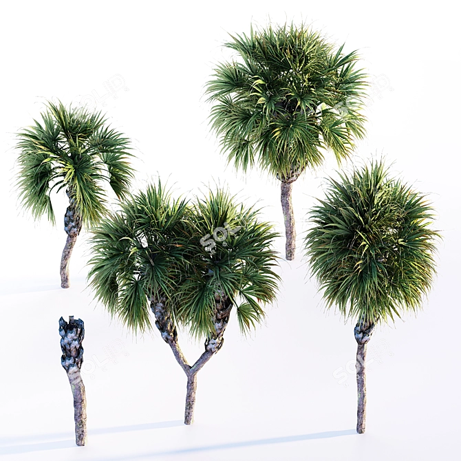 Tropical Paradise Palms 3D model image 3