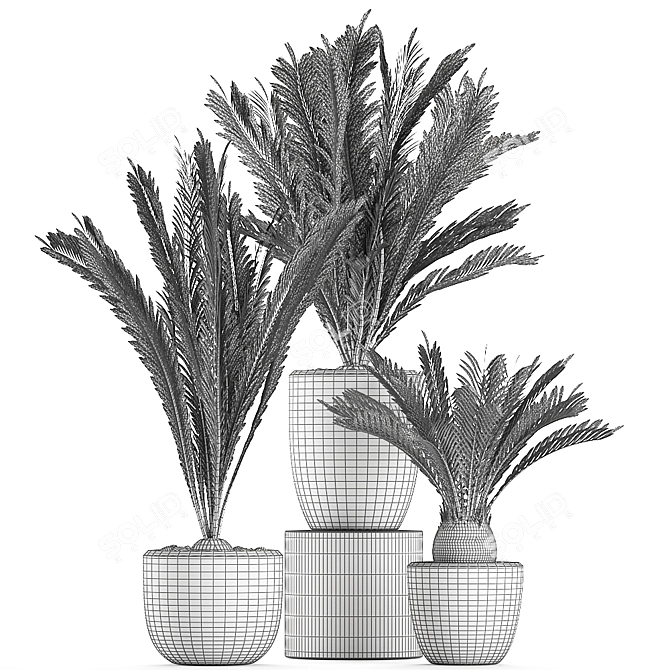 Tropical Exotic Plants Collection 3D model image 5